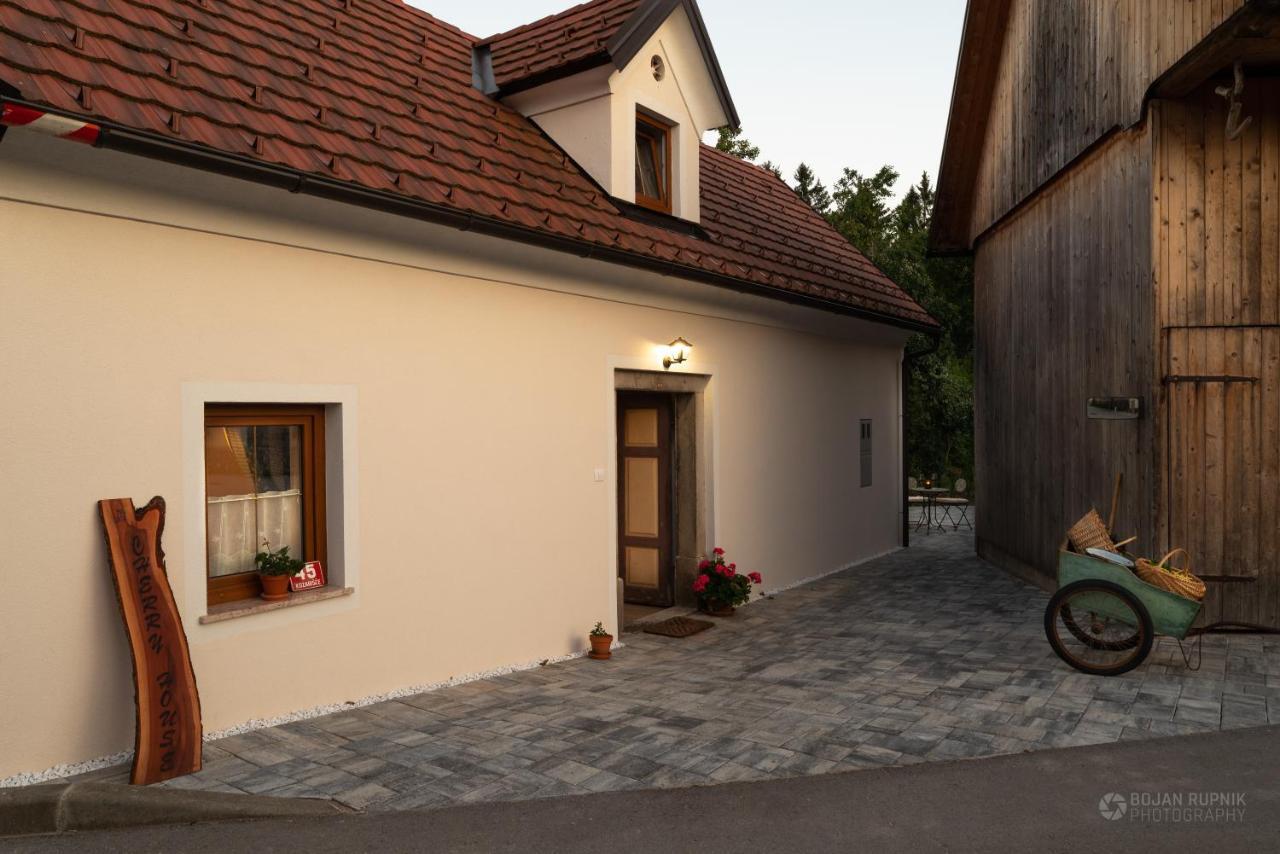 Cherry House - Cosy House - Ideal For Bear Watching, In The Neighborhood Of The Medieval Sneznik Castle Stari Trg pri Lozu Екстер'єр фото