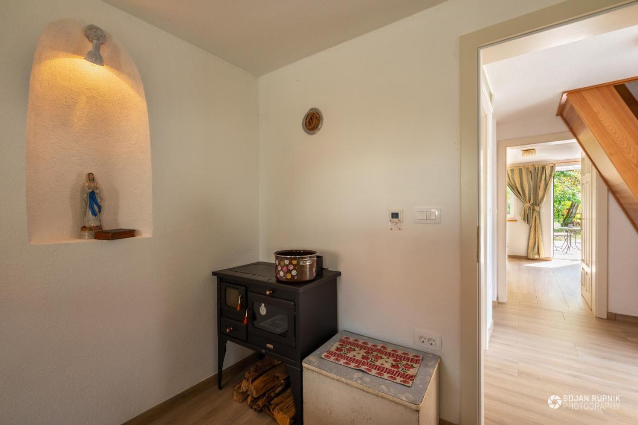 Cherry House - Cosy House - Ideal For Bear Watching, In The Neighborhood Of The Medieval Sneznik Castle Stari Trg pri Lozu Екстер'єр фото