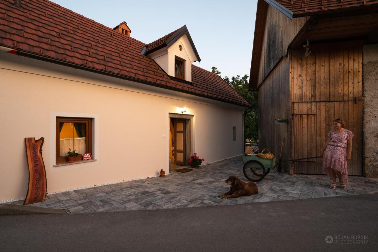 Cherry House - Cosy House - Ideal For Bear Watching, In The Neighborhood Of The Medieval Sneznik Castle Stari Trg pri Lozu Екстер'єр фото