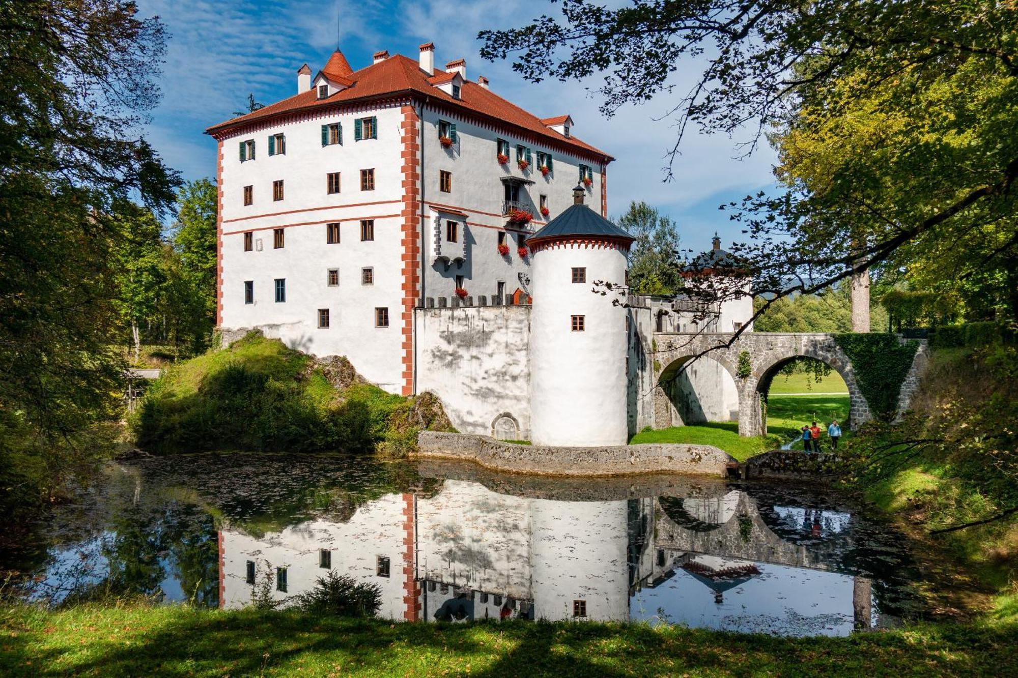 Cherry House - Cosy House - Ideal For Bear Watching, In The Neighborhood Of The Medieval Sneznik Castle Stari Trg pri Lozu Екстер'єр фото